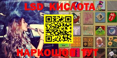 крисы Славгород