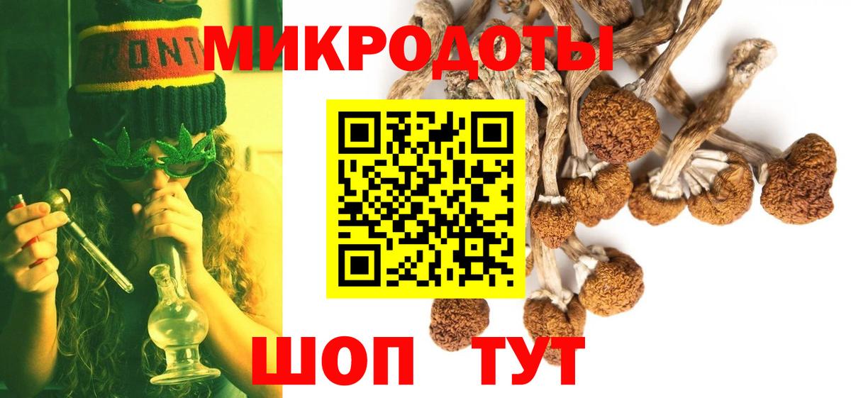 Псилоцибиновые грибы Psilocybe  Вход с VPN  Саяногорск 