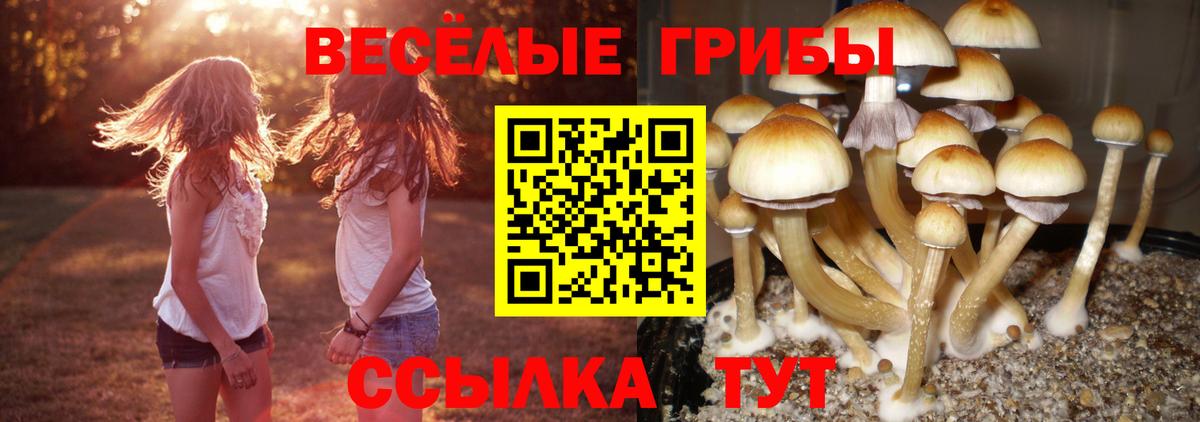 Псилоцибиновые грибы Magic Shrooms Саяногорск